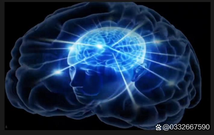 经典回看 — 校园记忆 封面